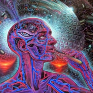 What It’s Like to Trip on DMT